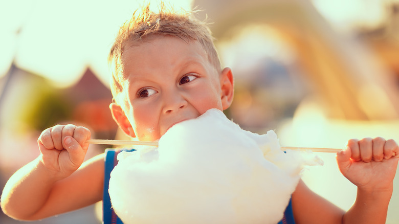 What Makes Cotton Candy Flavor So Irresistible?