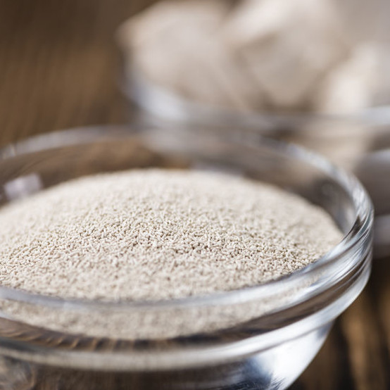 Where Does Yeast Come From?